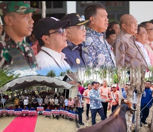 Kemitraan Penyaluran KUR Skim Ekosistem Ternak Sapi, OJK Perkuat Ekonomi Daerah