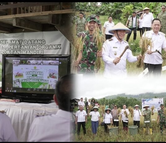 Pemkot Tomohon Dukung Swasembada Pangan Nasional
