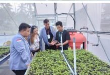 BI Sulut Percepat Transformasi Digital Sektor Pertanian