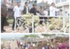 Cegah Api Merembet ke Permukiman, Dua Tim Gabungan Sisir Kawasan Gunung Lokon