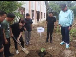 Wawali Sendy Rumajar Tanam Pohon Integritas Bersama Bawaslu, Ini Pesannya